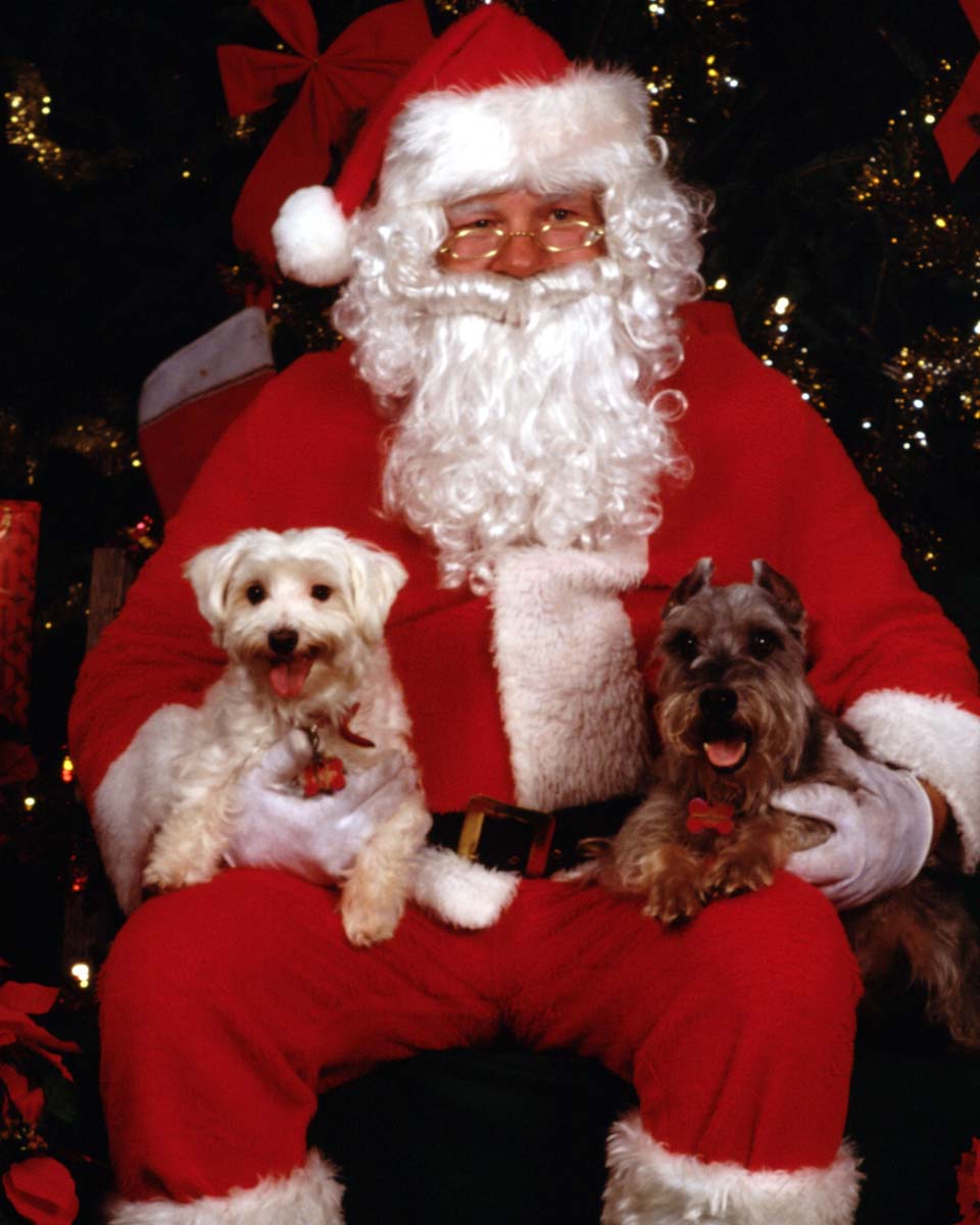 Le père Noël a peur des chiens